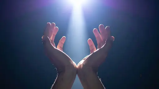 [Web : la maladie] La maladie et/est Ce Qui est